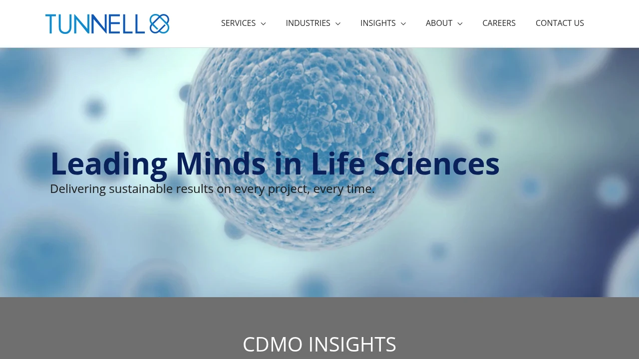 Screenshot of Tunnell Consulting website