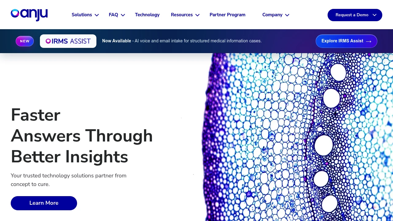 Screenshot of Anju Software website